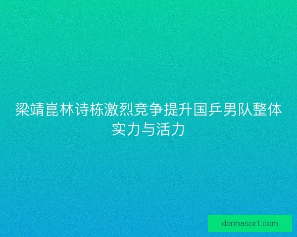 梁靖崑林诗栋激烈竞争提升国乒男队整体实力与活力