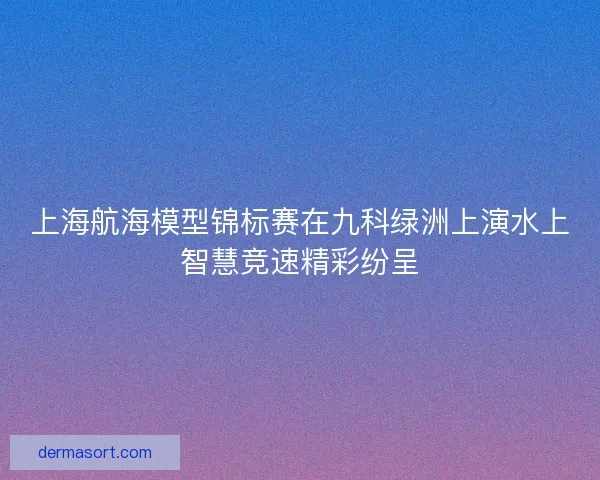 上海航海模型锦标赛在九科绿洲上演水上智慧竞速精彩纷呈